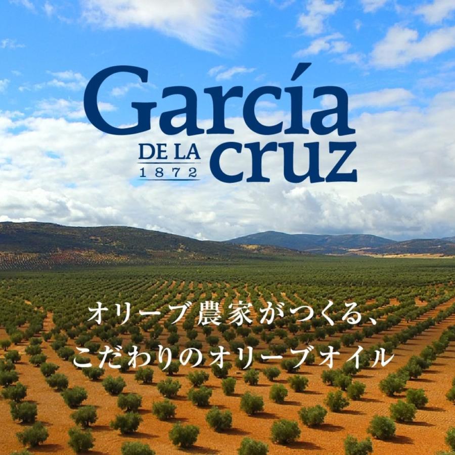 Garcia DE LA cruz 1872 ガルシア エクストラバージンオリーブオイル