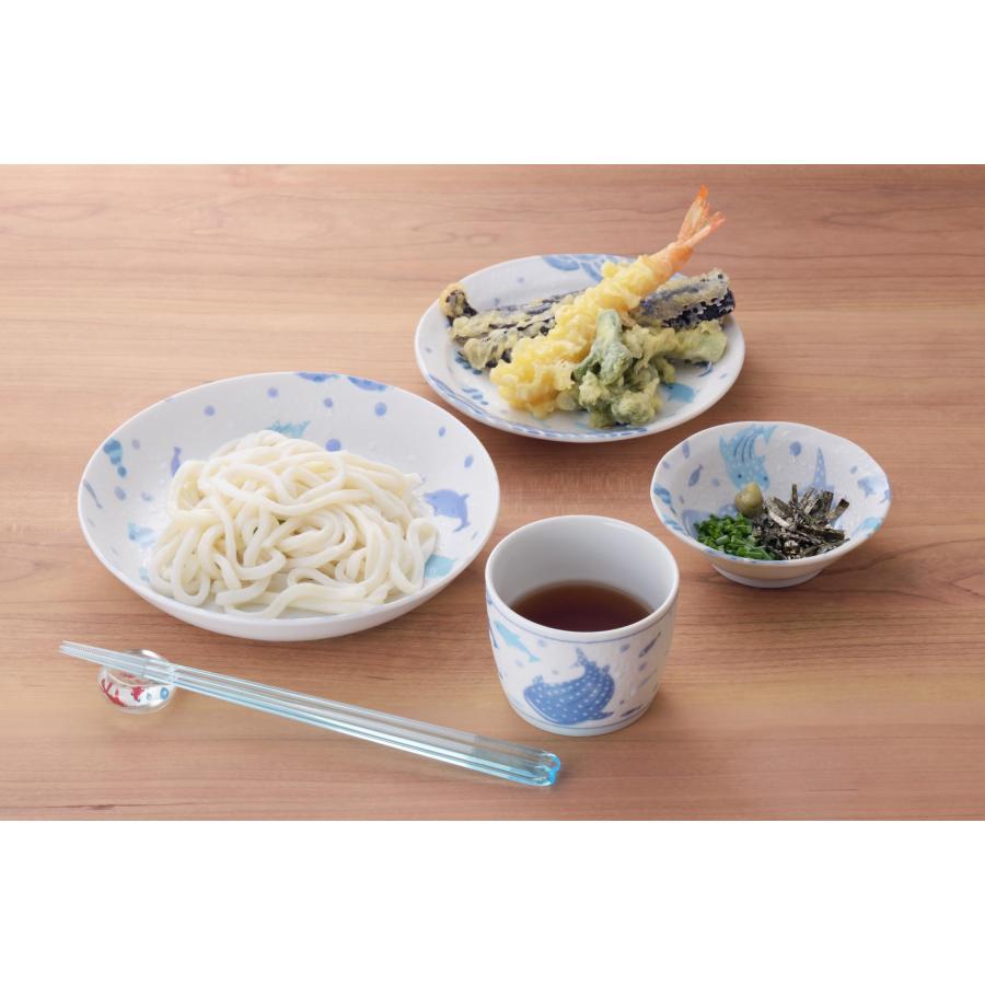 アオバ Aoba 箸 お箸 セット かわいい 5膳 涼し気 夏 子供用 約長23.0