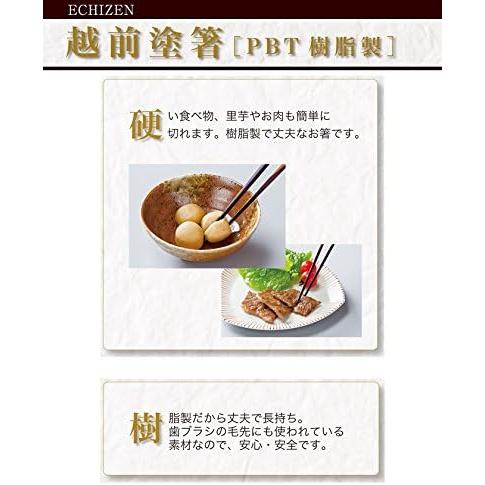福井クラフト 福井クラフト(Fukui Craft) 箸 日本製 22.5cm 食洗機乾燥