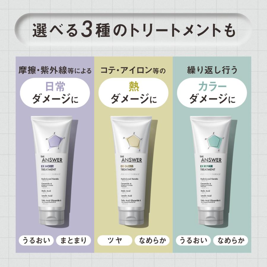 THE THE ANSWE ジアンサー スーパーラメラシャンプー ポンプ 400ml