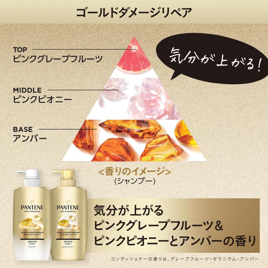 パンテーン 新モデル シャンプー&コンディショナーセット 500g+500g 詰