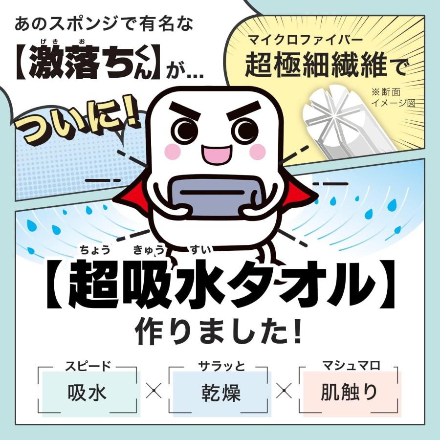 LEC（レック） 激落ちくん マイクロファイバー フェイスタオル 5枚入