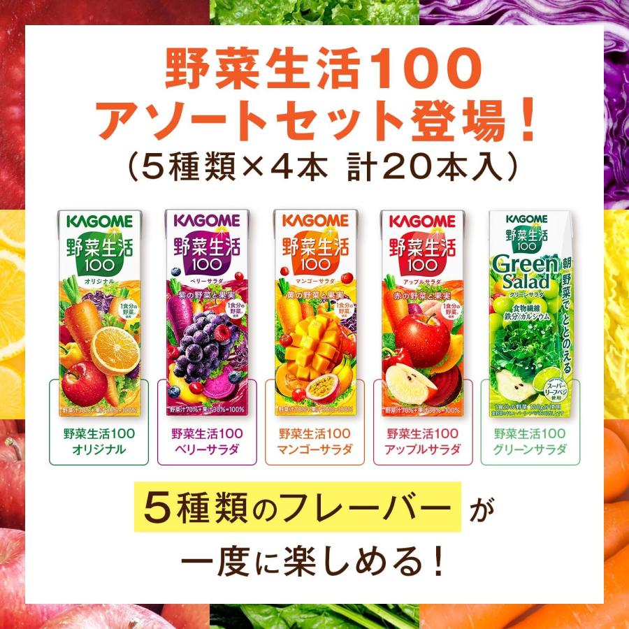 KAGOME（カゴメ） 【お試しセット】カゴメ 野菜生活100 アソートセット