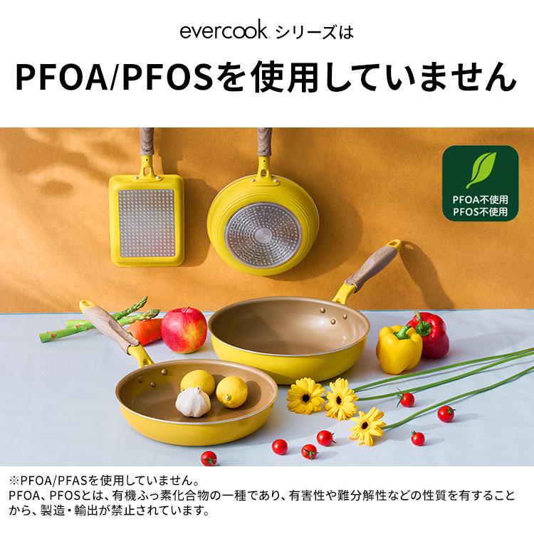 evercook エバークック フライパン 20cm IH ガス対応 ドウシシャ