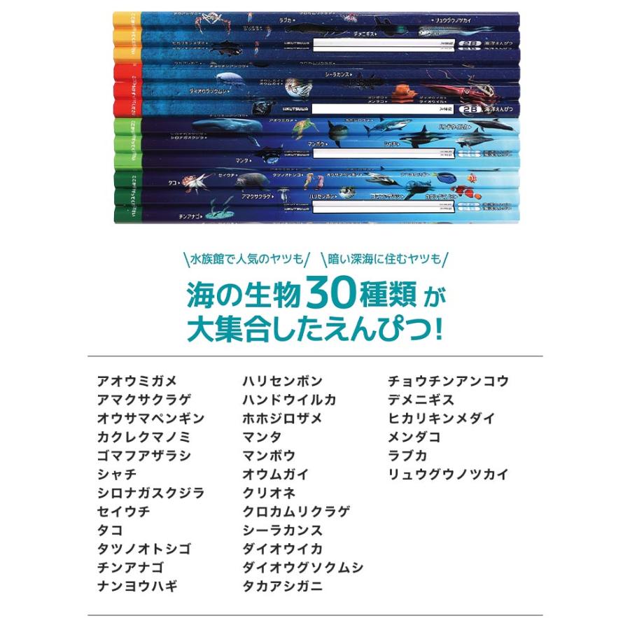 鉛筆 2B ダース 三角軸 六角軸 子ども 男の子 かきかた鉛筆 えんぴつ 12本 セット 日本製 恐竜 駅名 電車 新幹線 深海魚 生物 図鑑 入学 文房具 小学校 入学準備｜hauhau｜14