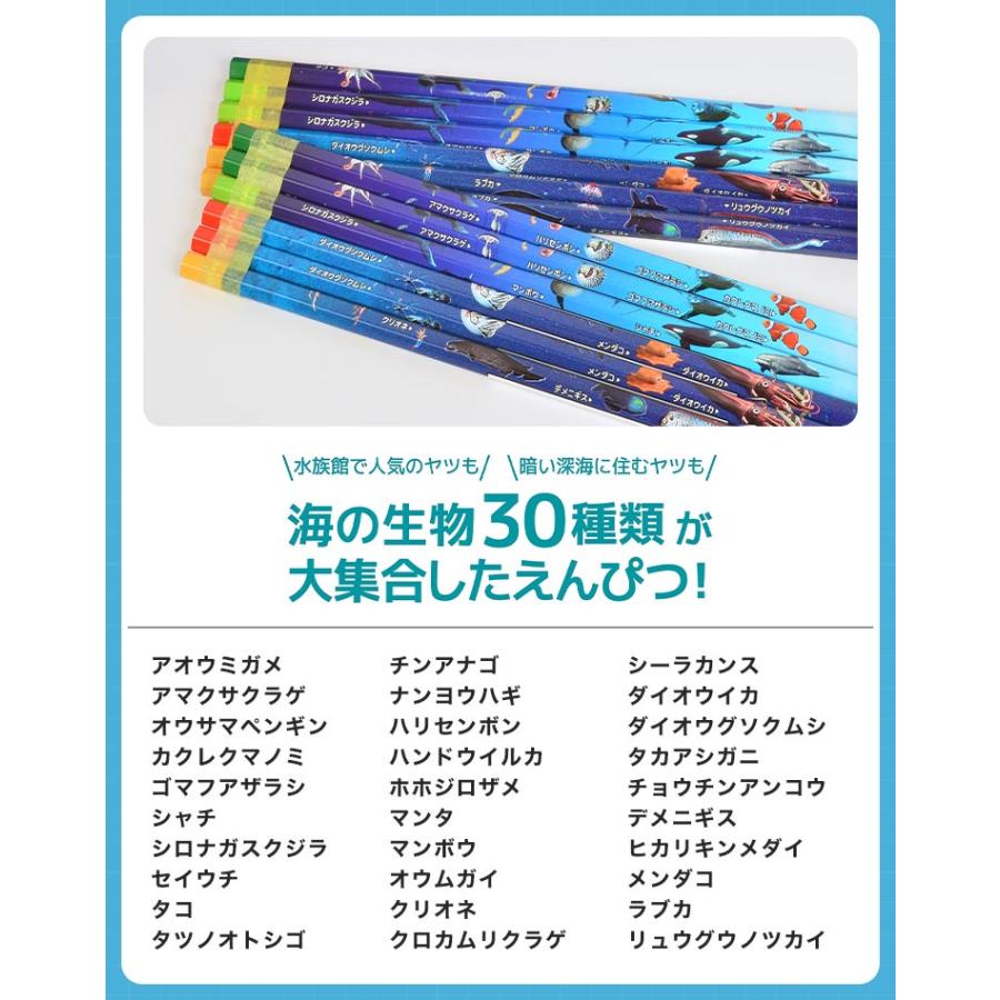 鉛筆 2B ダース 三角軸 六角軸 かきかた鉛筆 えんぴつ 日本製 12本 セット 恐竜 駅名 新幹線 深海魚 入学準備 文房具 小学校 男の子 : kite-pencil01 : hauhau - 通販 - Yahoo!ショッピング 鉛筆 2B ダース 三角軸 六角軸 かきかた鉛筆 えんぴつ 日本製 12本 セット 恐竜 駅名 新幹線 深海魚 入学準備 文房具 小学校 男の子 : kite-pencil01 : hauhau - 通販 - Yahoo!ショッピング