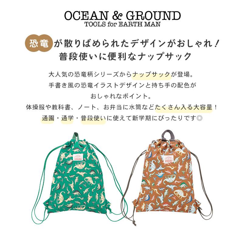 ナップサック型☆お着替え袋（恐竜） 恐竜 ダイナソー 巾着ナップサック 約W32cm×H39cm×マチ6cm