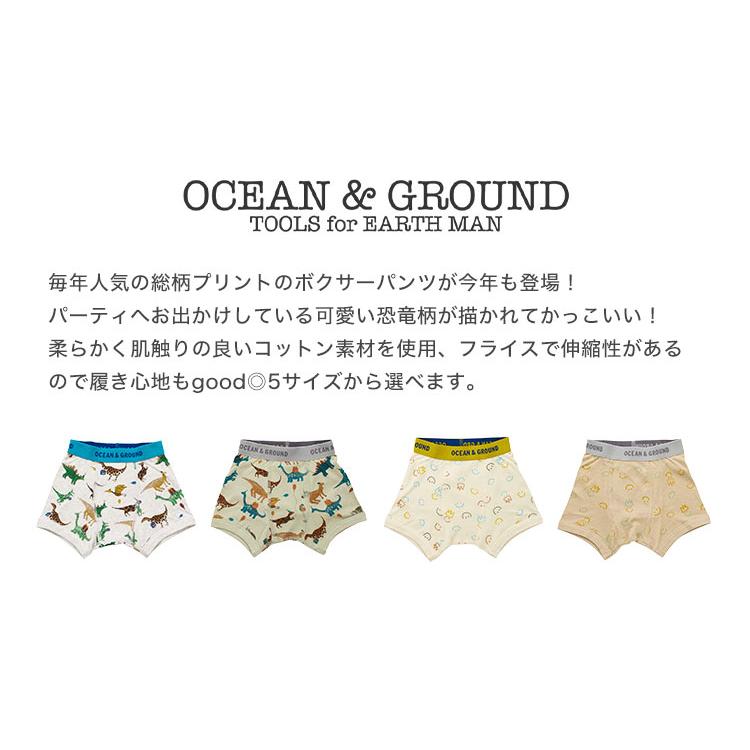 キッズ ボクサーパンツ 下着 男の子 オーシャンアンドグラウンド OCEAN＆GROUND 肌着 綿100％ コットン 100 110 120 130 140 cm おしゃれ 子供 保育園 幼稚園｜hauhau｜06