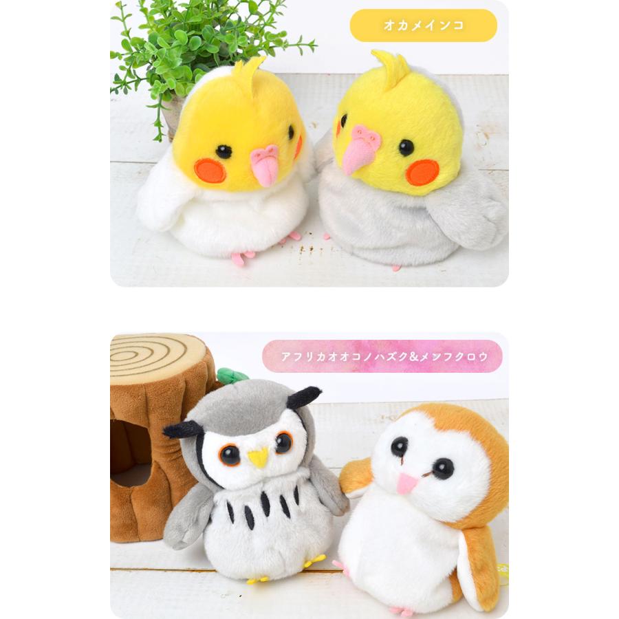 セキセイインコ グッズの商品一覧 通販 - Yahoo!ショッピング セキセイインコ グッズの商品一覧 通販 - Yahoo!ショッピング