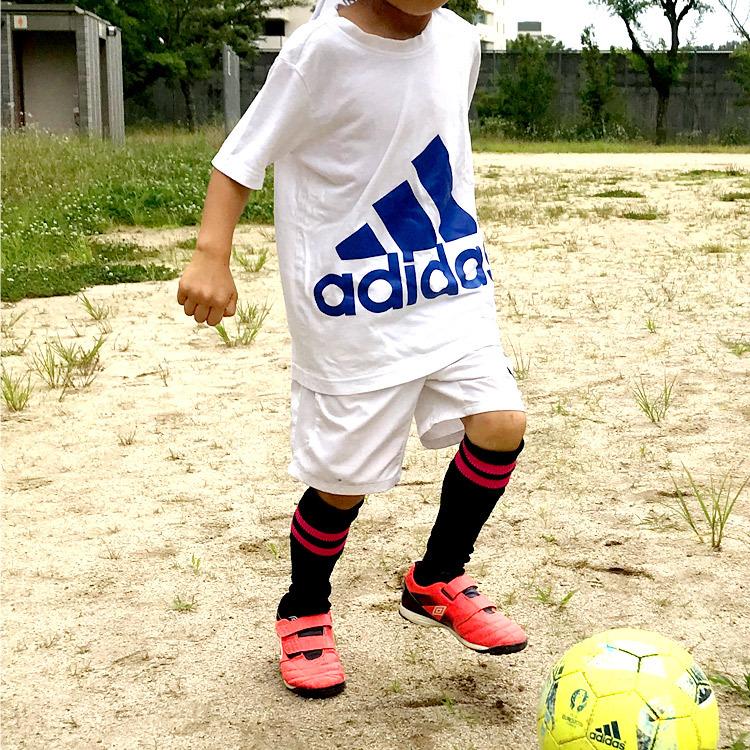 サッカーソックス 2本ライン 19 20 21 22 23 24 25 26 27cm 国産 サッカーソックス 2本ライン 19 20 21 22 23 24 25 26 27cm 国産