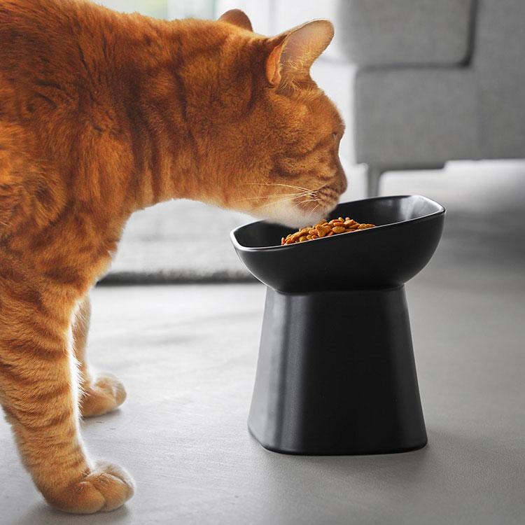 山崎実業 食べやすい高さ陶器ペットフードボウル 斜め H17 ヌークス