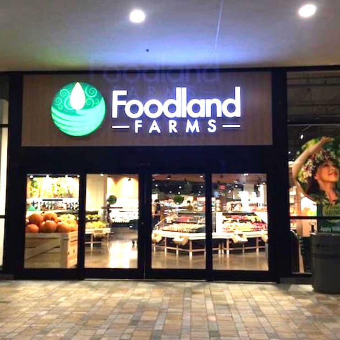 フードランド エコバック FOODLAND  ランチバッグ  ハワイ トートバッグ 送料無料　ブランド 折り畳み マチ広 可愛い｜hauolihawaii｜12