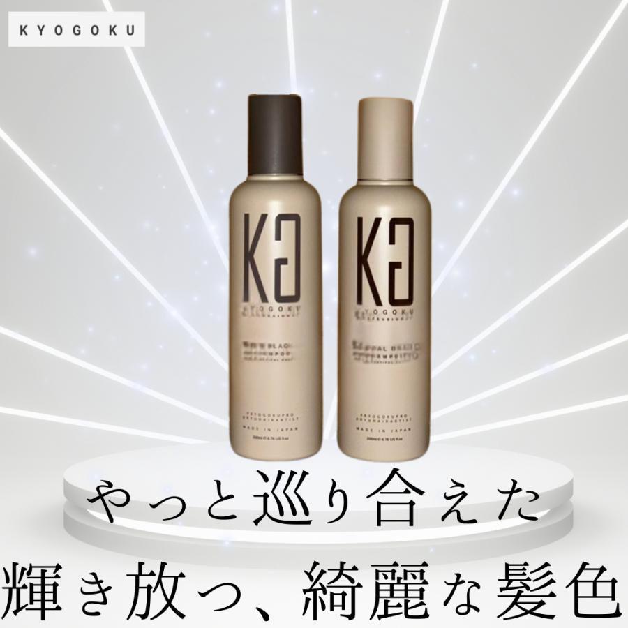 KYOGOKU PROFESSIONAL Kyogoku 京極 カラーシャンプー 200ml アッシュ