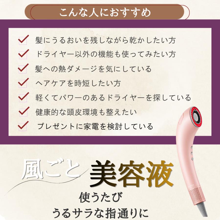 正規品 Brighte ブライト シャワードライヤー SHOWER DRYER BRT-SD173