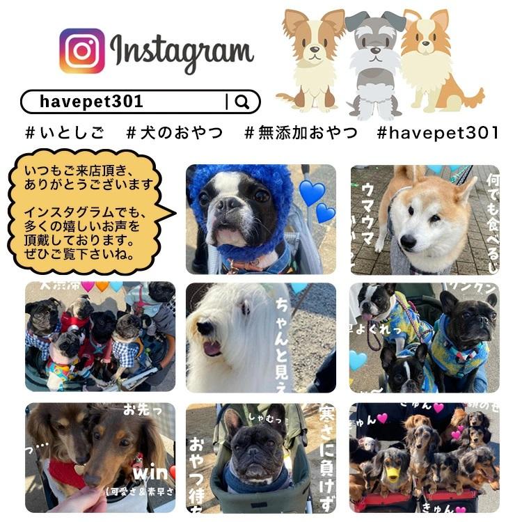 豚耳スライス 1kg 犬 おやつ 犬のおやつ 無添加 国産 大袋 業務用 大型