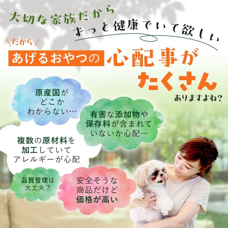 豚耳スライス 1kg 犬 おやつ 犬のおやつ 無添加 国産 大袋 業務用 大型