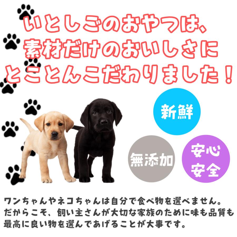 爆買い新作 デビフ 成犬のおやつ 1ケース g 5 48個 Fucoa Cl