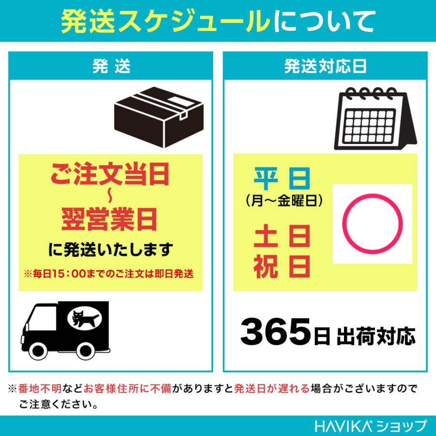 エコバッグ 大容量 無地 ママ お受験 サブ バッグ 三浦 しぼり ドロール たたまない クシュクシュ レギュラーサイズ｜havika｜26