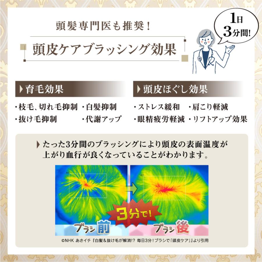 ギフト専用 パドルブラシ Lサイズ+シリコンシャンプーブラシ セット