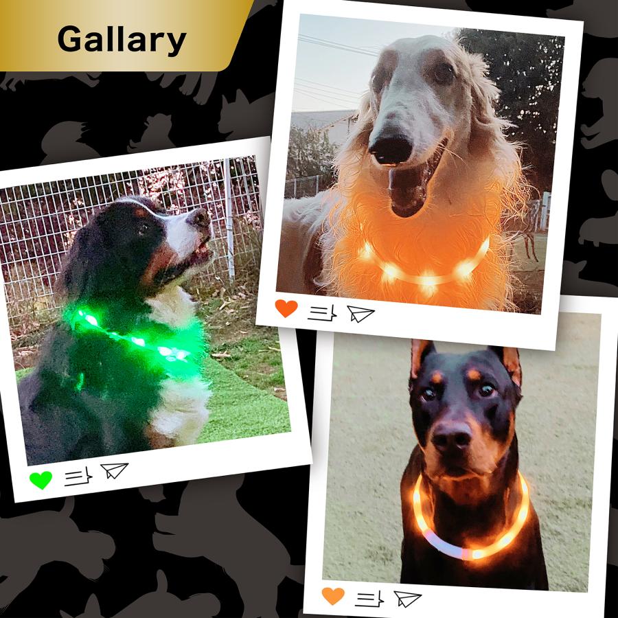 愛玩動物救命士監修 USBタイプC 犬 猫 光る 首輪 LED 夜間 視認距離