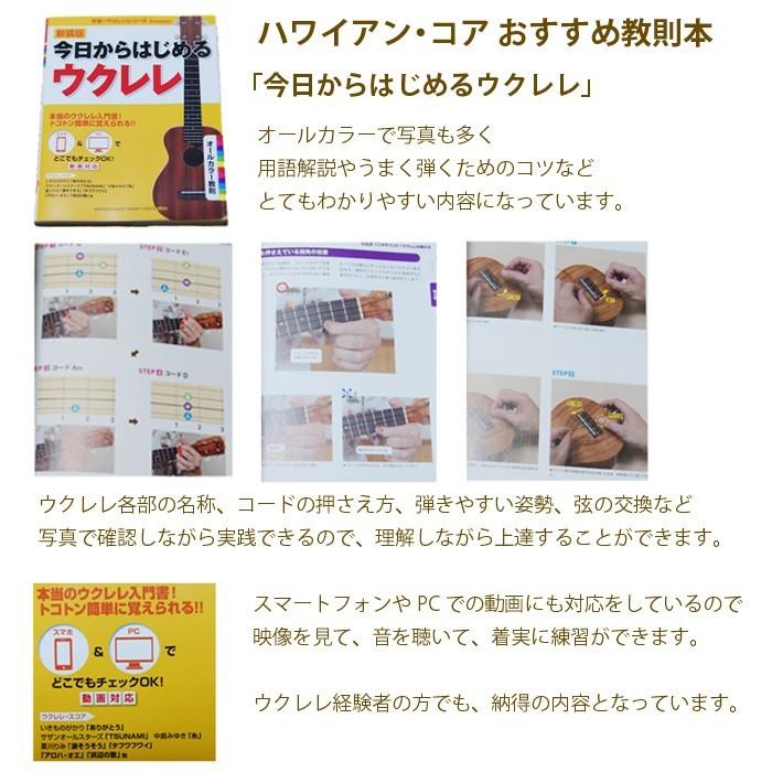ウクレレ 初心者セット Famous フェイマス FS-2PG ソプラノ