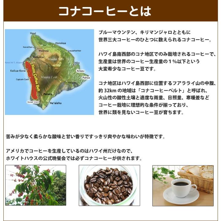 ROYAL KONA COFFEE（ロイヤルコナコーヒー） 秋 ハロウィン ギフト