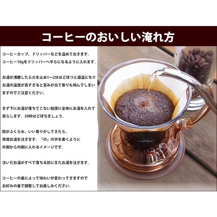 LION COFFEE（ライオンコーヒー） 選べる3袋セット 送料無料 ドリップ