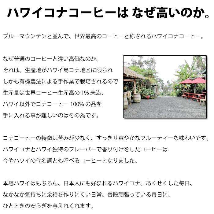 LION COFFEE（ライオンコーヒー） 選べる3袋セット 送料無料 ドリップ
