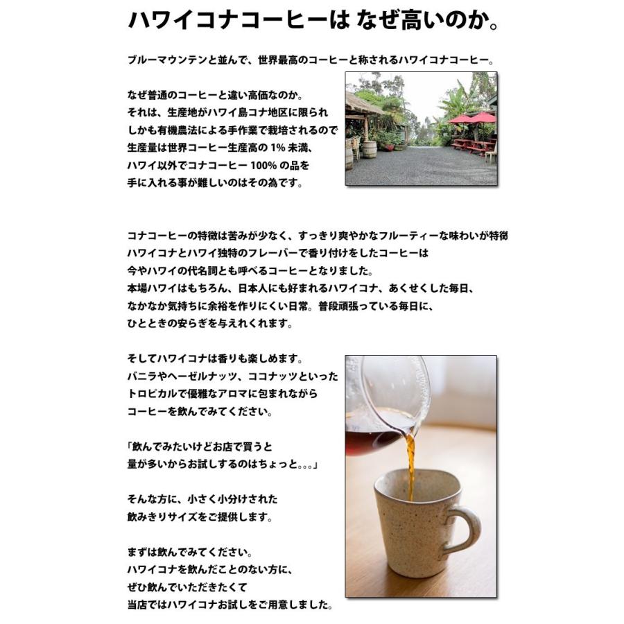 LION COFFEE（ライオンコーヒー） ドリップバッグ ヘーゼルナッツ 12