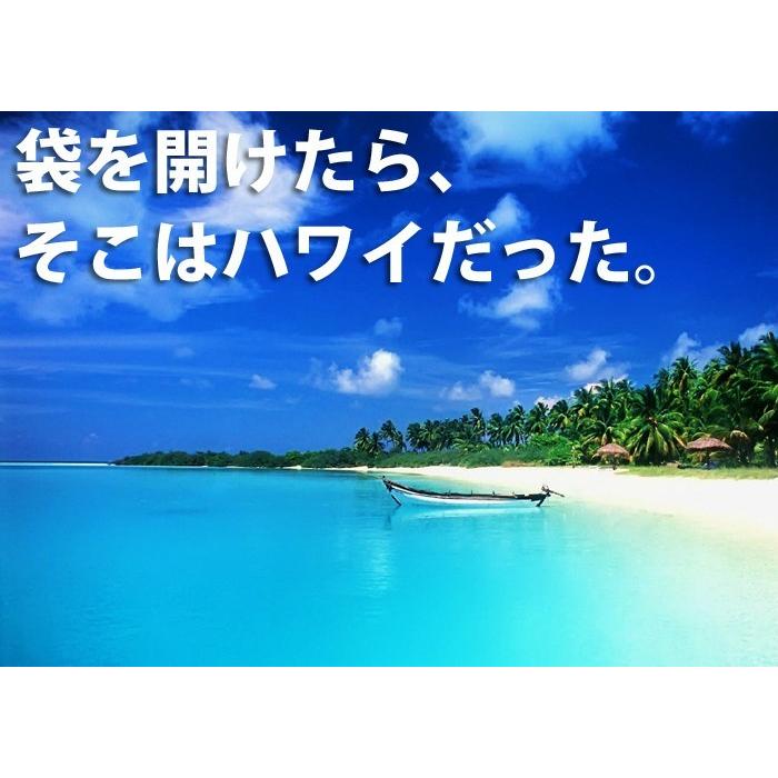 期間限定で特別価格 まだ間に合う 母の日 ギフト コーヒー ギフトセット 御礼 ライオンコーヒー 送料無料 プレゼント 3袋セット お誕生日 記念日 ハワイ Wantannas Go Id