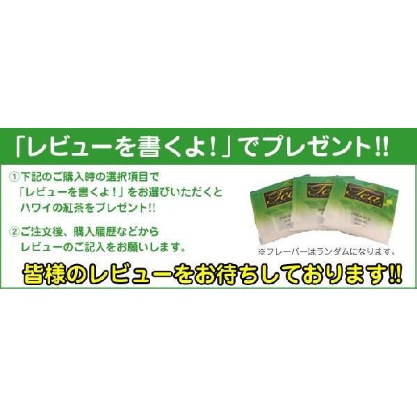 TWO PALMS（トゥーパームス） アロハシャツ ハワイアンシャツ 本場