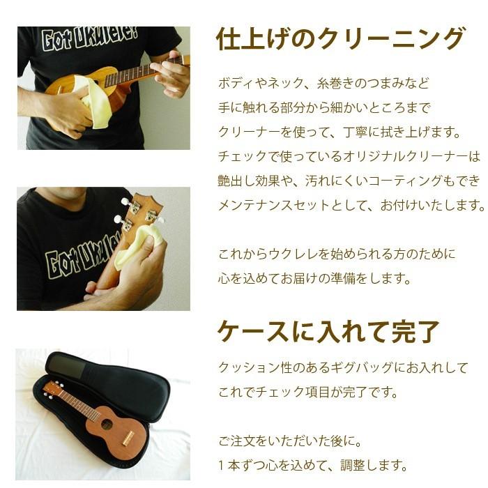 ウクレレ 初心者セット コンサート ケース チューナー 教則本