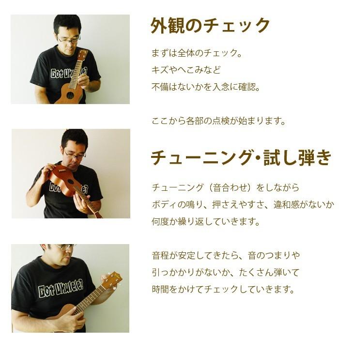 ウクレレ 初心者セット ソプラノウクレレ パイナップル ケース