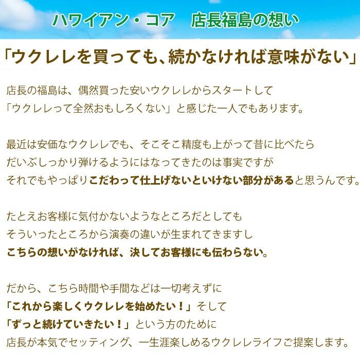 ウクレレ ギフト 初心者セット ソプラノウクレレ  ケース チューナー 教則本 クリーナー マホガニー 送料無料_1