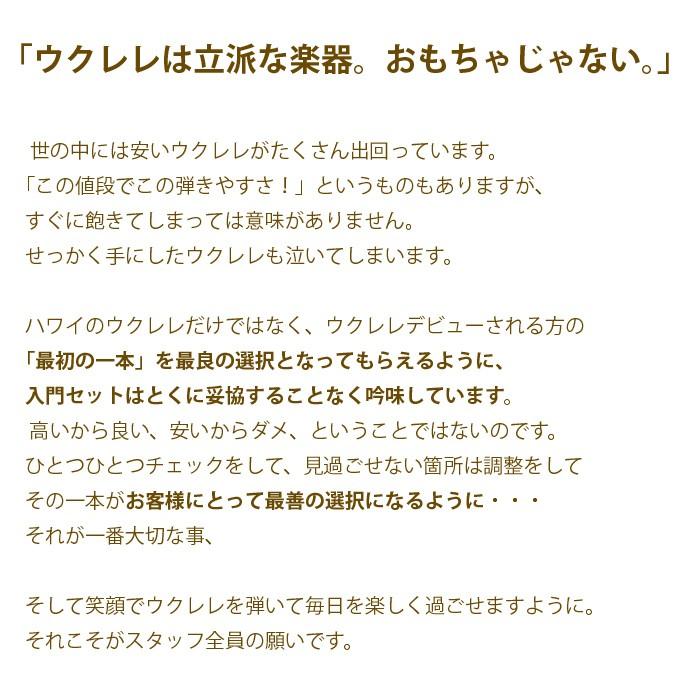 ウクレレ ギフト 初心者セット ソプラノウクレレ  ケース チューナー 教則本 クリーナー マホガニー 送料無料_2