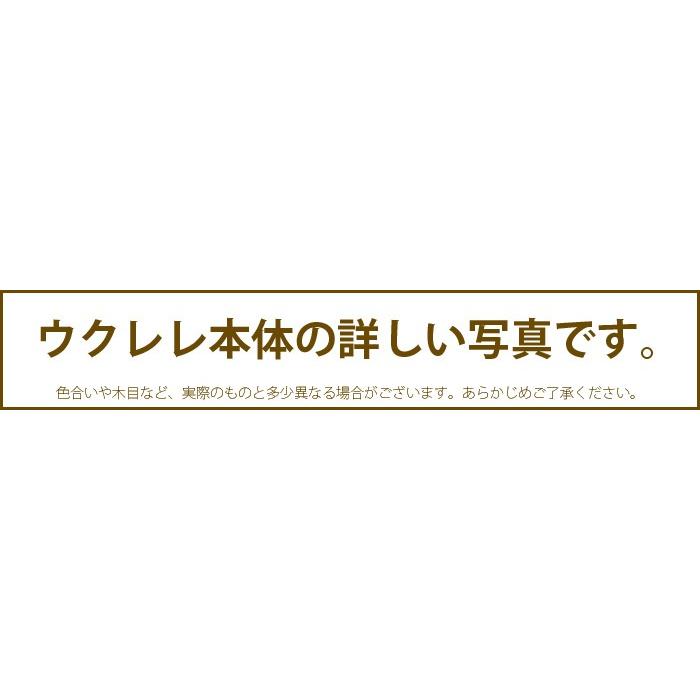 ウクレレ ギフト 初心者セット ソプラノウクレレ  ケース チューナー 教則本 クリーナー マホガニー 送料無料_8