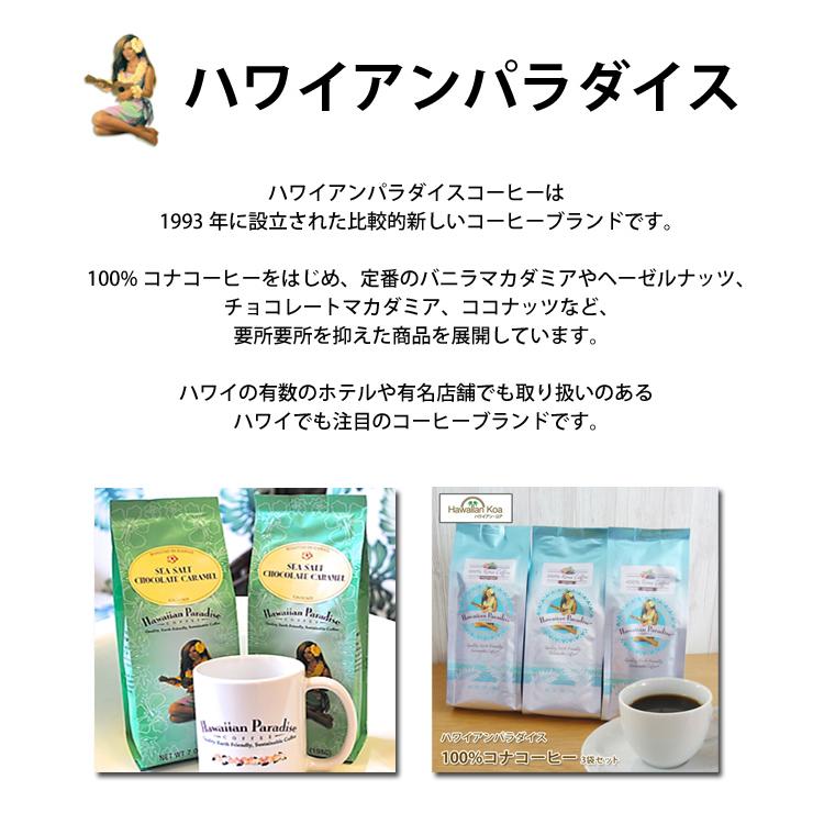 LION COFFEE ハワイ フレーバーコーヒー バニラマカダミアナッツ LION COFFEE ハワイ フレーバーコーヒー バニラマカダミアナッツ