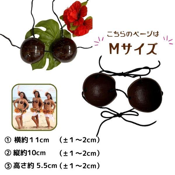 ココブラ Mサイズ フラダンス 衣装 フラ ダンス タヒチアン ココナッツ