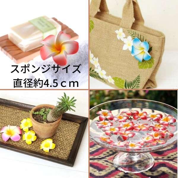 プルメリアハワイアン　ひょうたん製小物入れ　ハワイアン雑貨 ハワイアン Hawaiian バスケット 小物入れ 【プルメリア×モンステラ