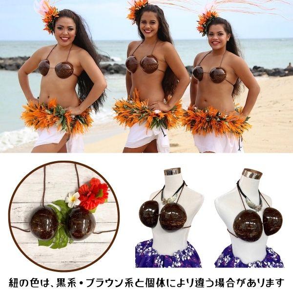 ココブラ 3XLサイズ フラダンス 衣装 フラ ダンス タヒチアン ココブラ 3XLサイズ フラダンス 衣装 フラ ダンス タヒチアン