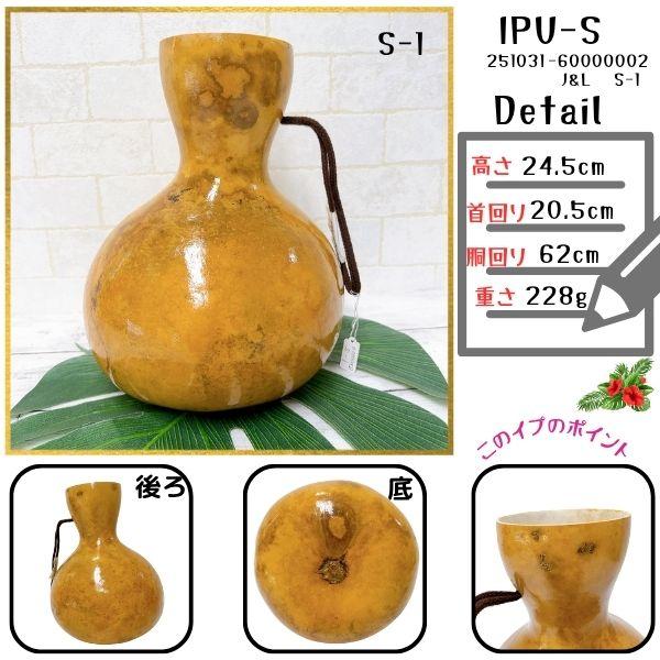 イプ Sサイズ フラ フラダンス 楽器 ハワイ ハワイアン 打楽器