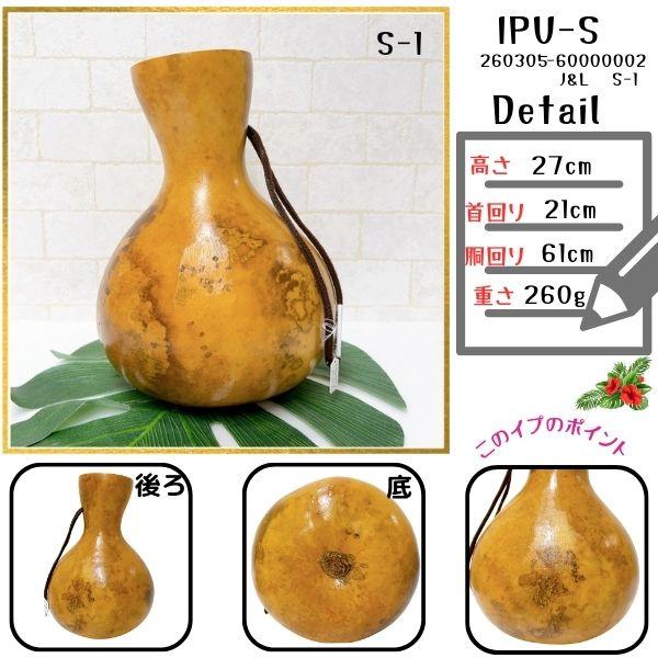 イプ Sサイズ フラ フラダンス 楽器 ハワイ ハワイアン 打楽器