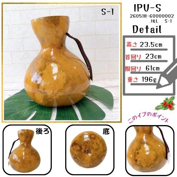 イプ Sサイズ フラ フラダンス 楽器 ハワイ ハワイアン 打楽器