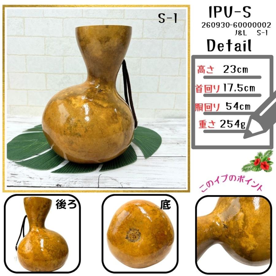 本場ハワイ直輸入 フラダンス 打楽器 イプ Sサイズ 瓢箪 写真の現物を