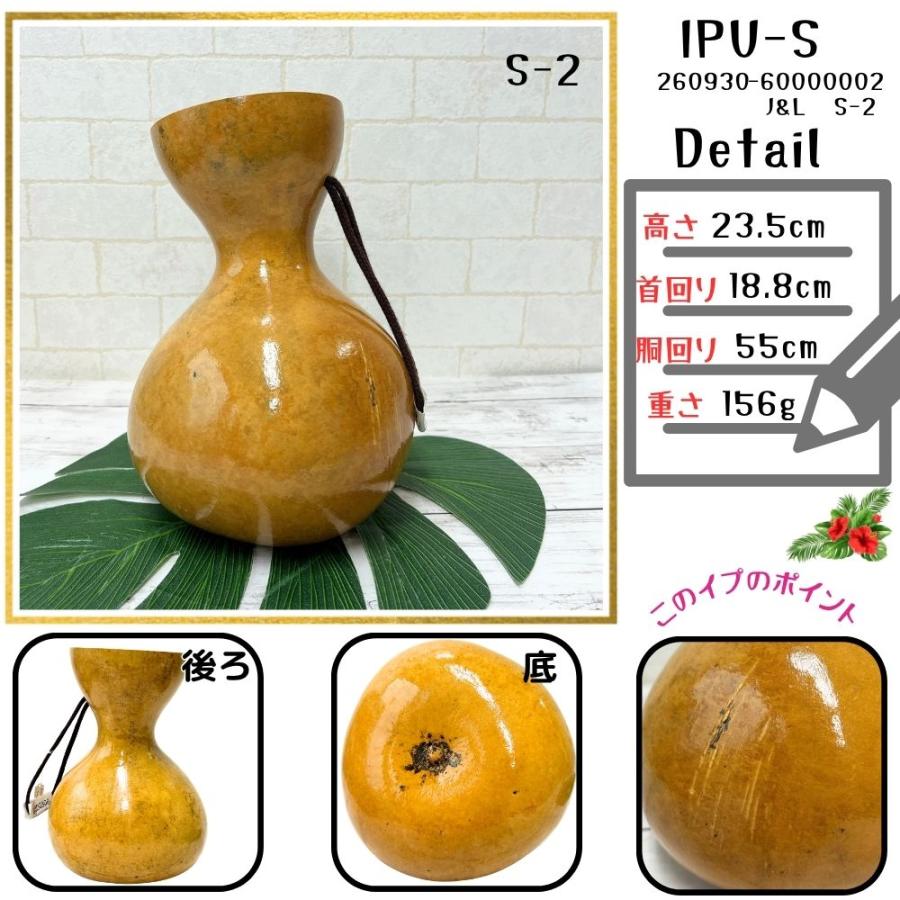 本場ハワイ直輸入 フラダンス 打楽器 イプ Sサイズ 瓢箪 写真の現物を