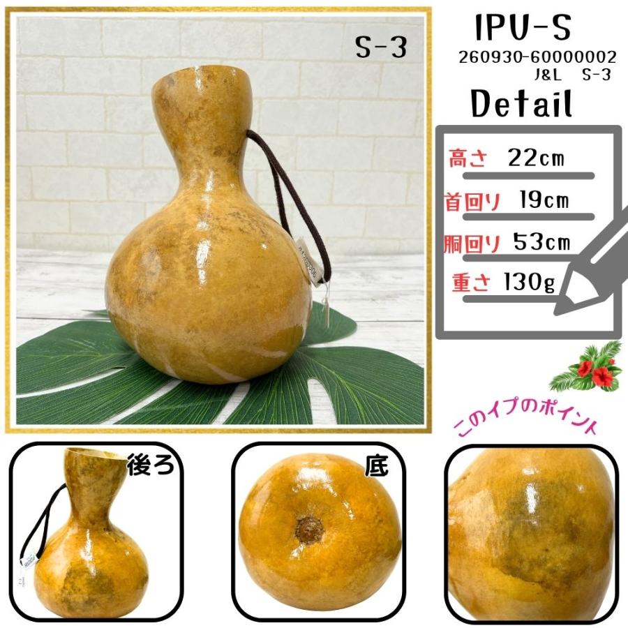 本場ハワイ直輸入 フラダンス 打楽器 イプ Sサイズ 瓢箪 写真の現物を