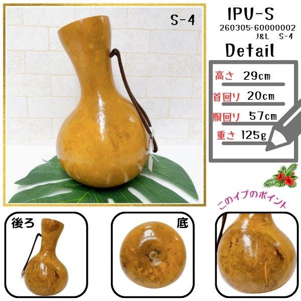 フラ楽器　イプ　ハワイアン イプ Sサイズ フラ フラダンス 楽器 ハワイ ハワイアン 打楽器