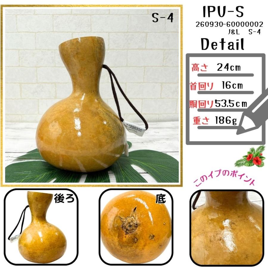 フラダンス　イプ 本場ハワイ直輸入 フラダンス 打楽器 イプ Sサイズ 瓢箪 写真の現物を