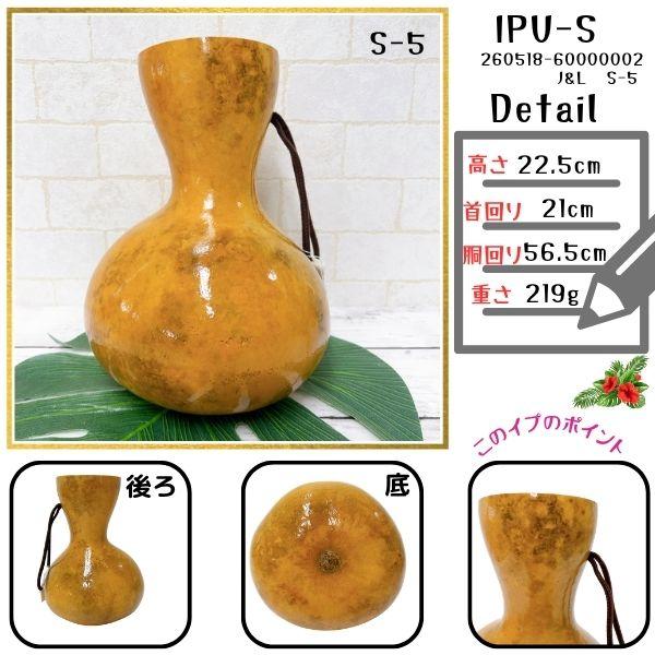 イプ Sサイズ フラ フラダンス 楽器 ハワイ ハワイアン 打楽器