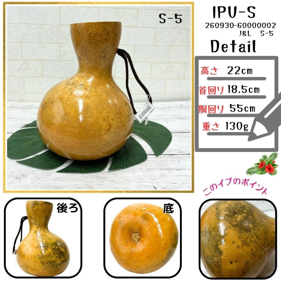 本場ハワイ直輸入 フラダンス 打楽器 イプ Sサイズ 瓢箪 写真の現物を
